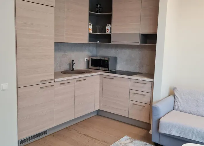 Saules Muzika Apartament Druskieniki